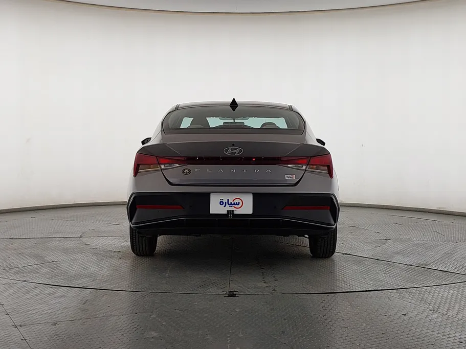 2024 Hyundai Elantra Fleet 