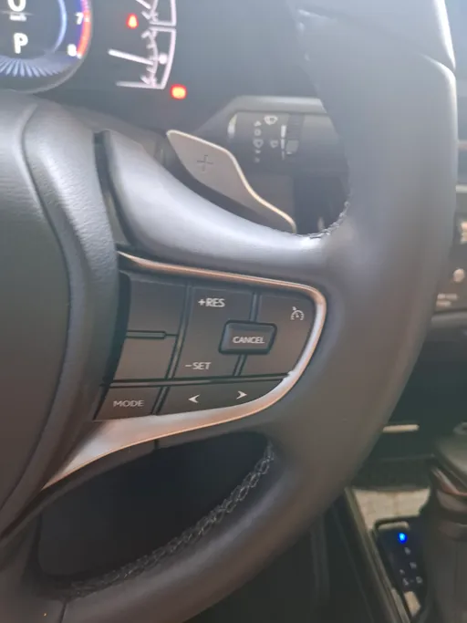 2025 Lexus ES 250 AA Elegant 