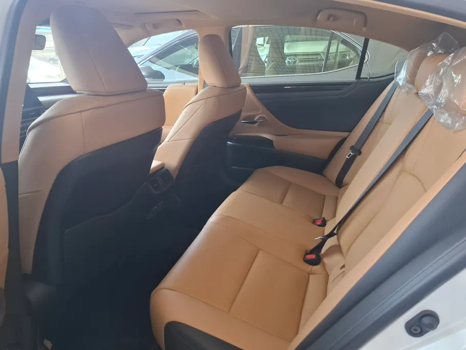 2025 Lexus ES 250 AA Elegant 