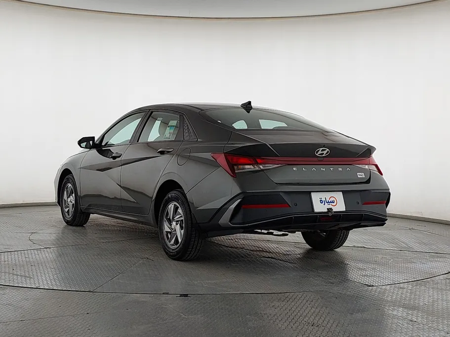 2024 Hyundai Elantra Fleet 