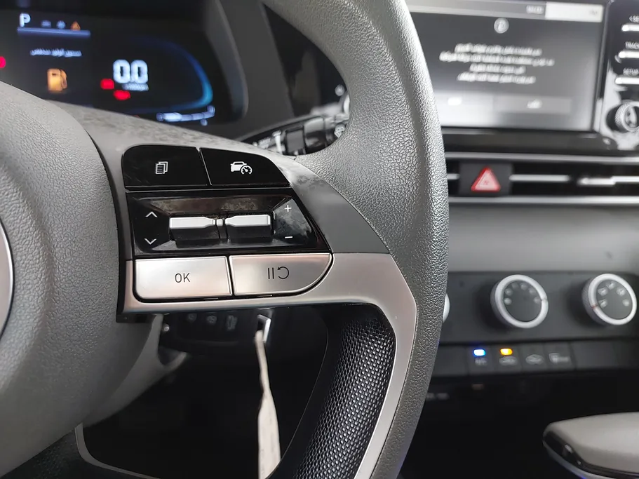 2024 Hyundai Elantra Fleet 