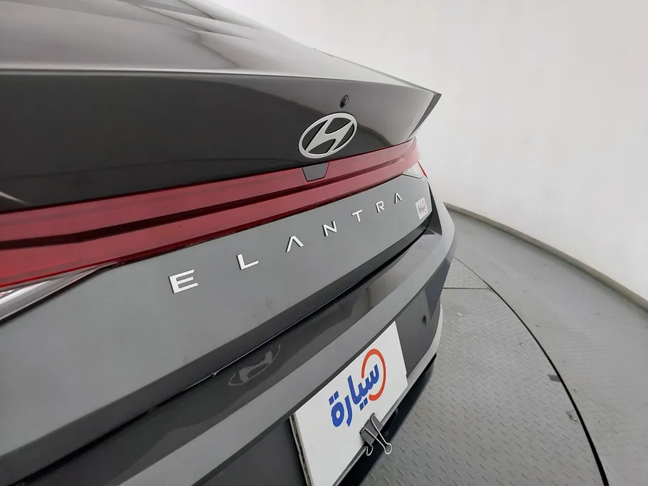 2024 Hyundai Elantra Fleet 