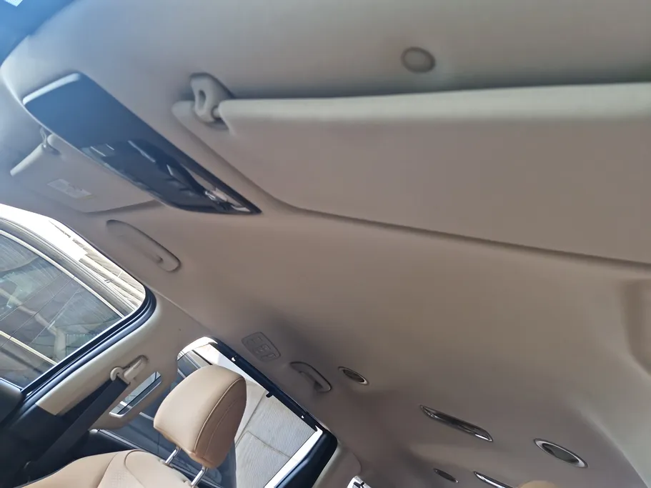 2022 Kia Carnival GL 