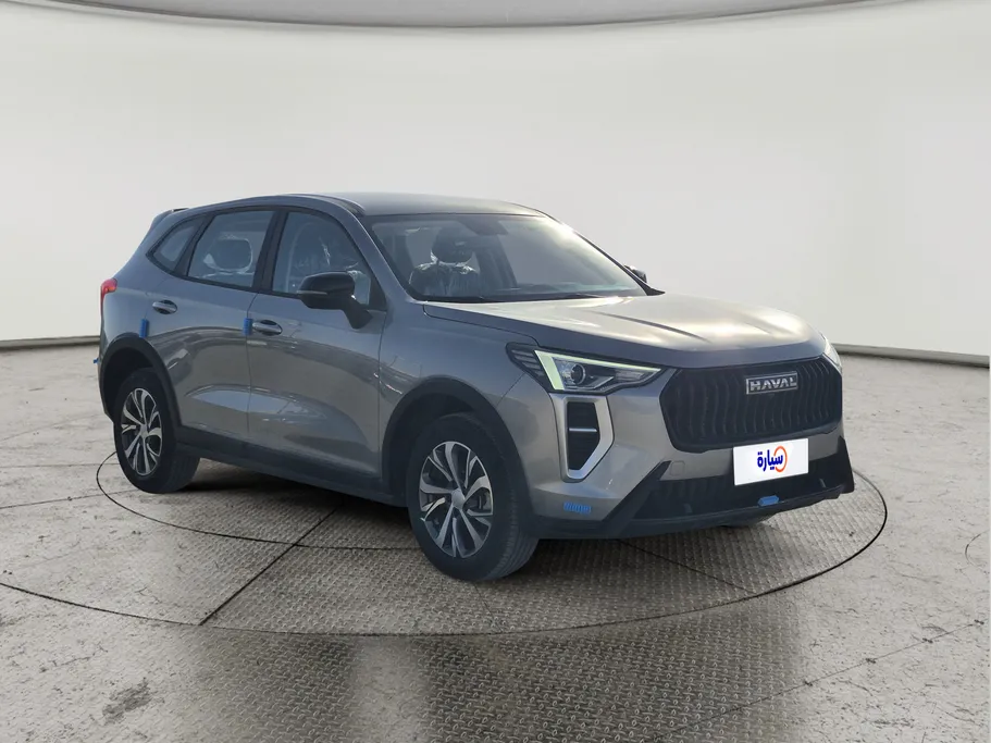 هافال جوليان بيسك 2025 