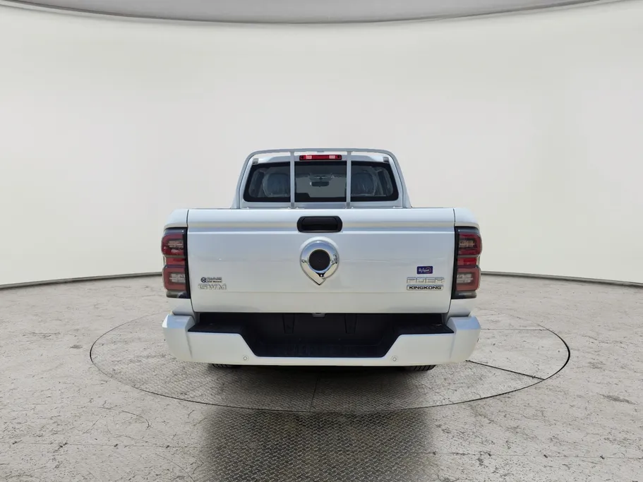 2023 Great Wall Poer King Kong 