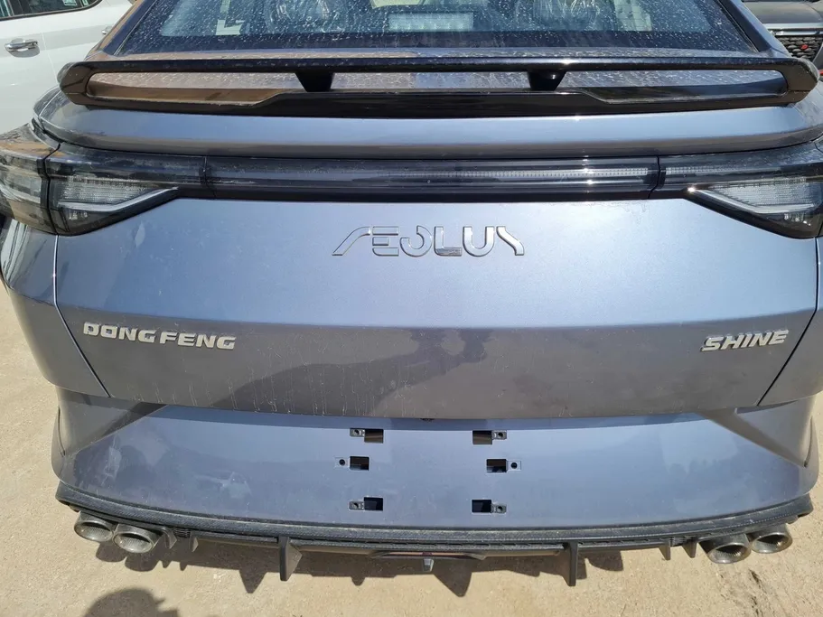 دونج فينج شاين E1 2026 