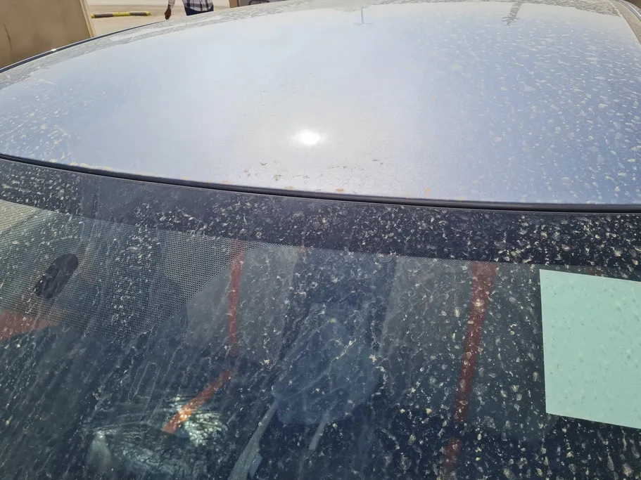 دونج فينج شاين E1 2026 