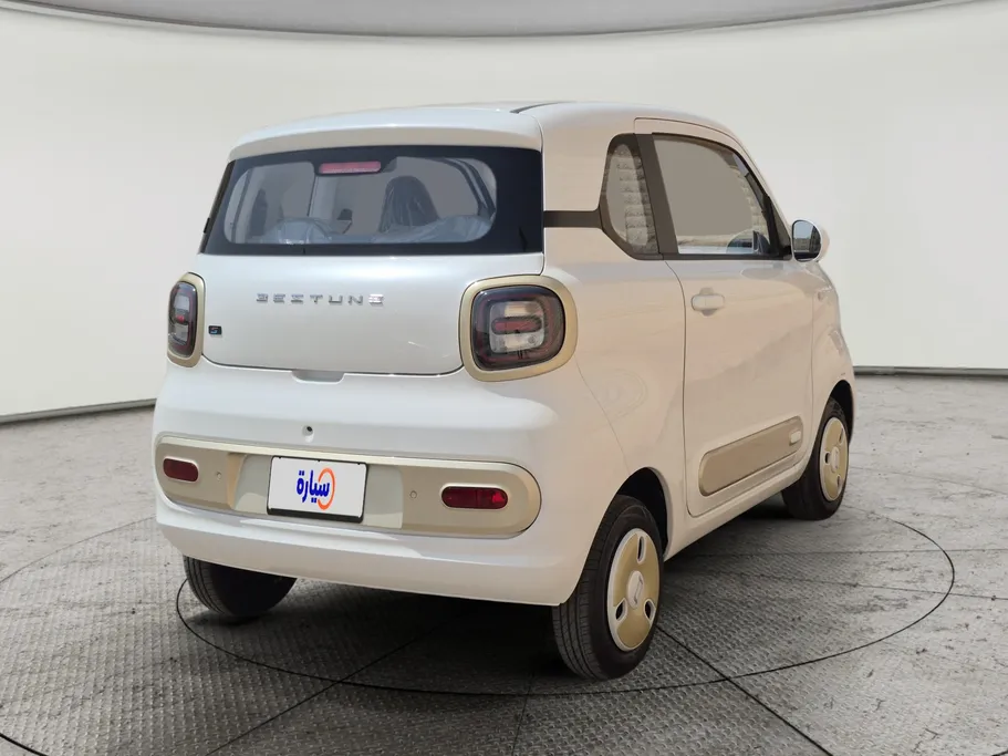 2025 FAW E131 Mini  