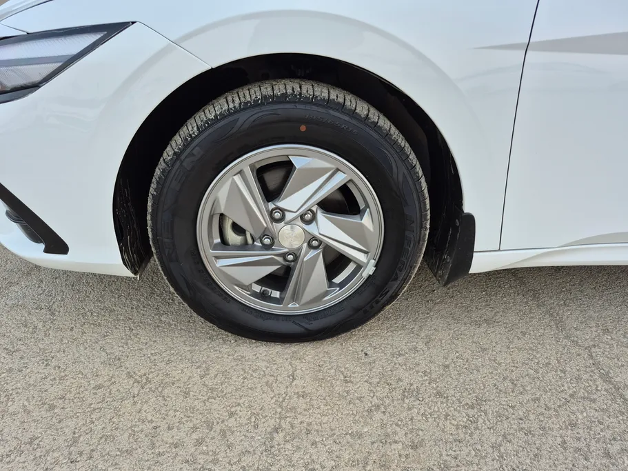 2024 Hyundai Elantra Fleet 