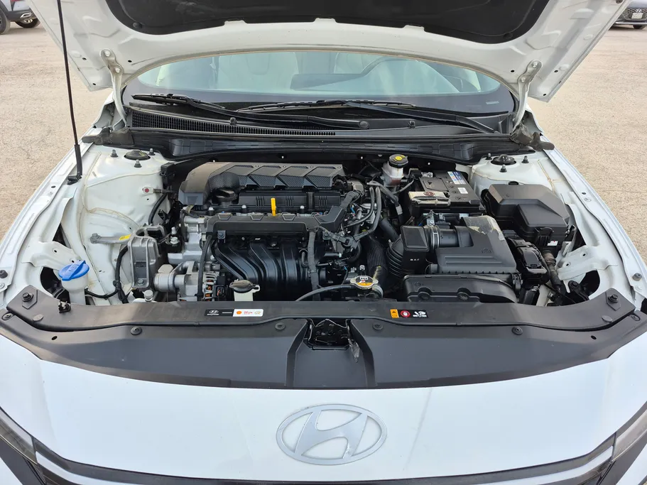 2024 Hyundai Elantra Fleet 