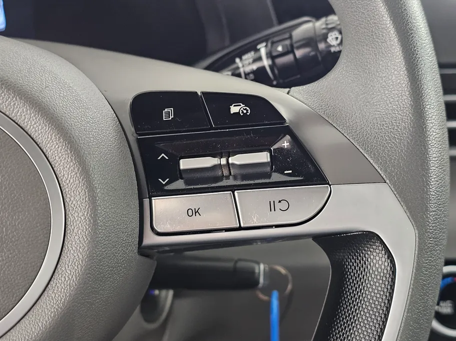 2024 Hyundai Elantra Fleet 
