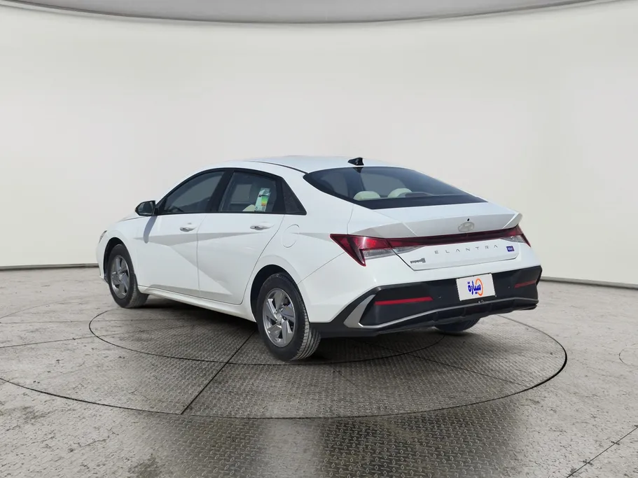 2024 Hyundai Elantra Fleet 