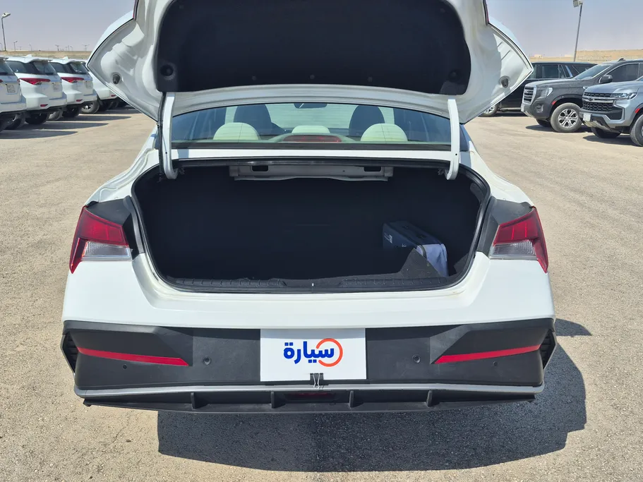 2024 Hyundai Elantra Fleet 