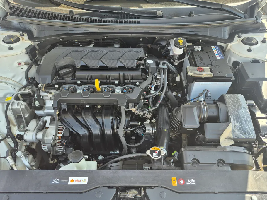 2024 Hyundai Elantra Fleet 