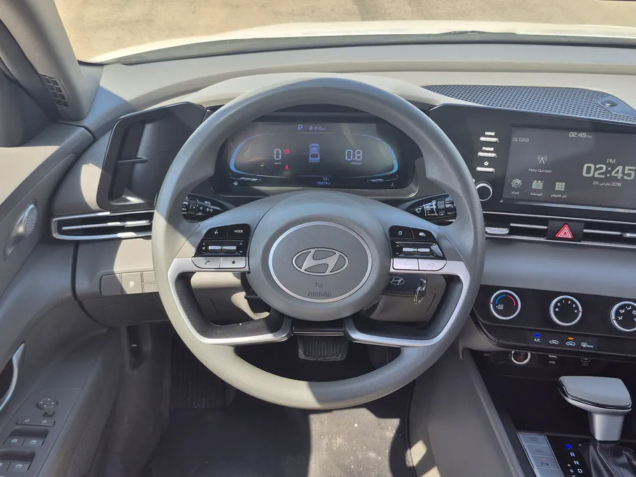 2024 Hyundai Elantra Fleet 