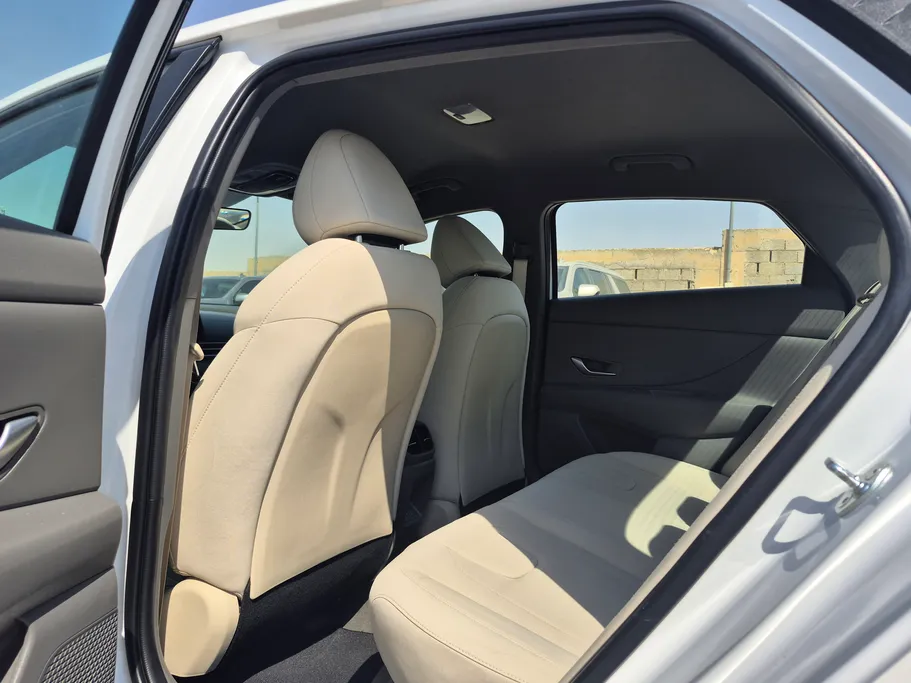 2024 Hyundai Elantra Fleet 