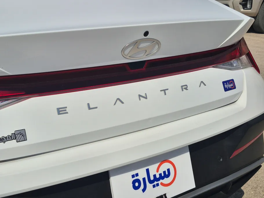 2024 Hyundai Elantra Fleet 