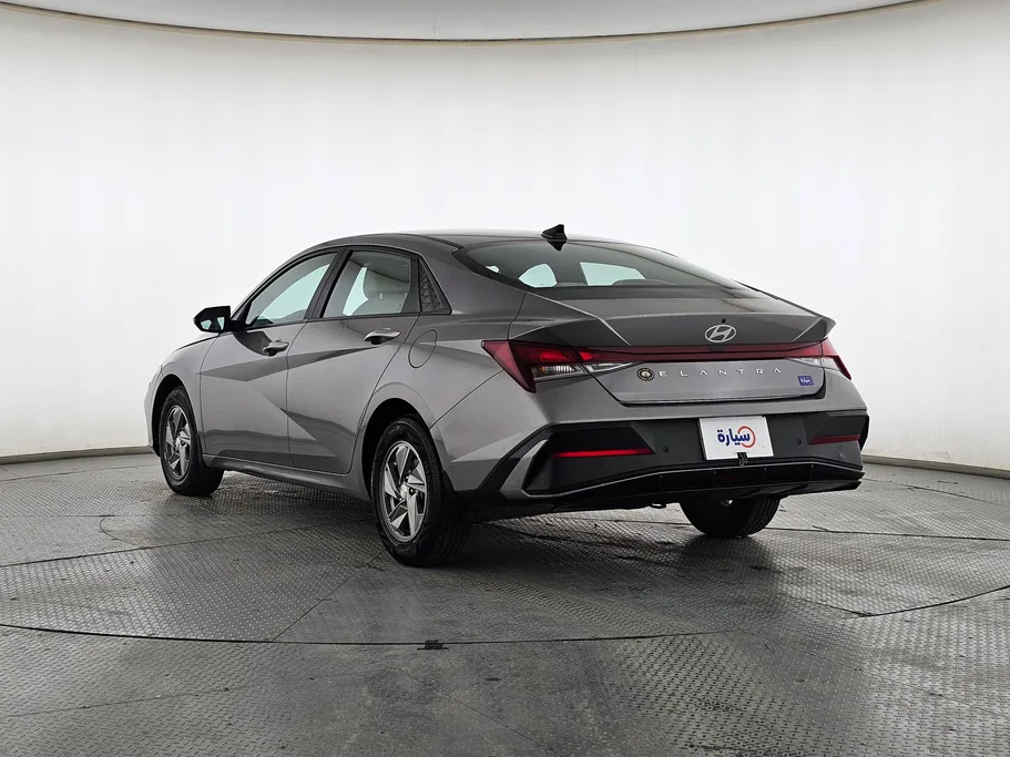 2024 Hyundai Elantra Fleet 