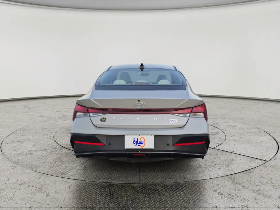2024 Hyundai Elantra Fleet 