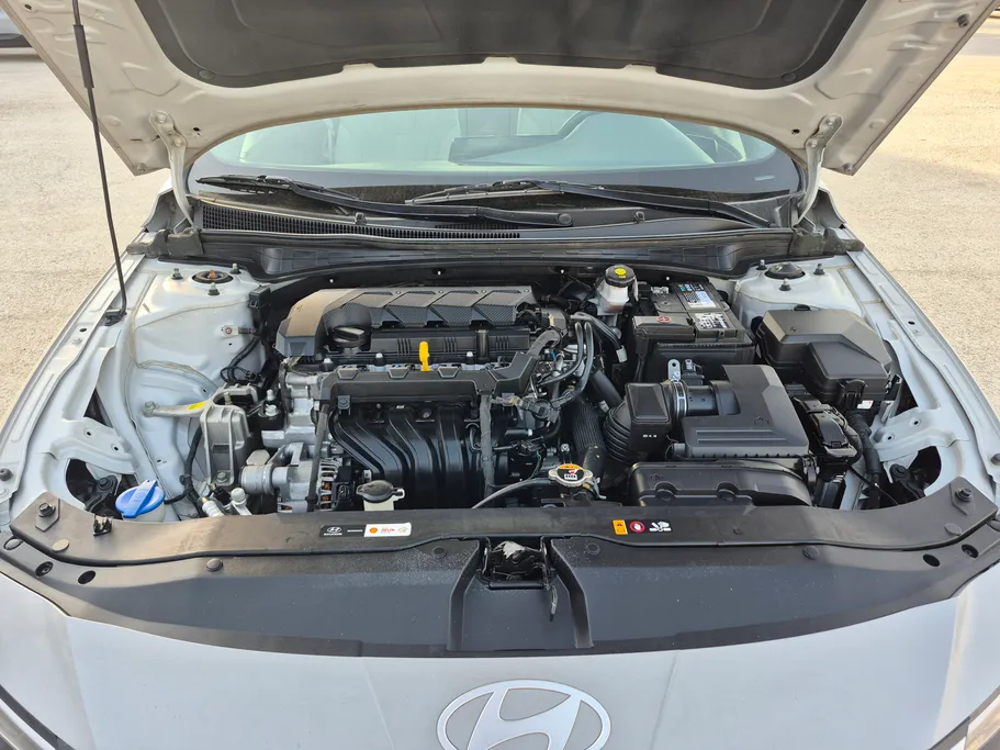 2024 Hyundai Elantra Fleet 