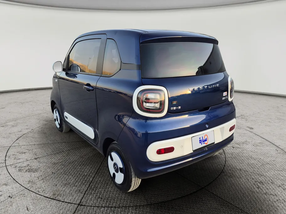 2025 FAW E131 Mini  