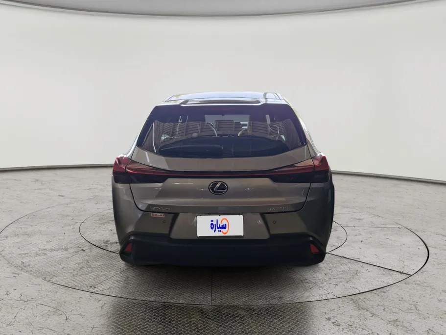 2021 Lexus UX 200 