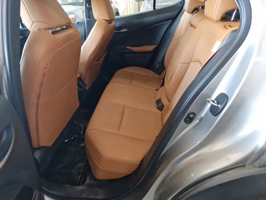 2021 Lexus UX 200 