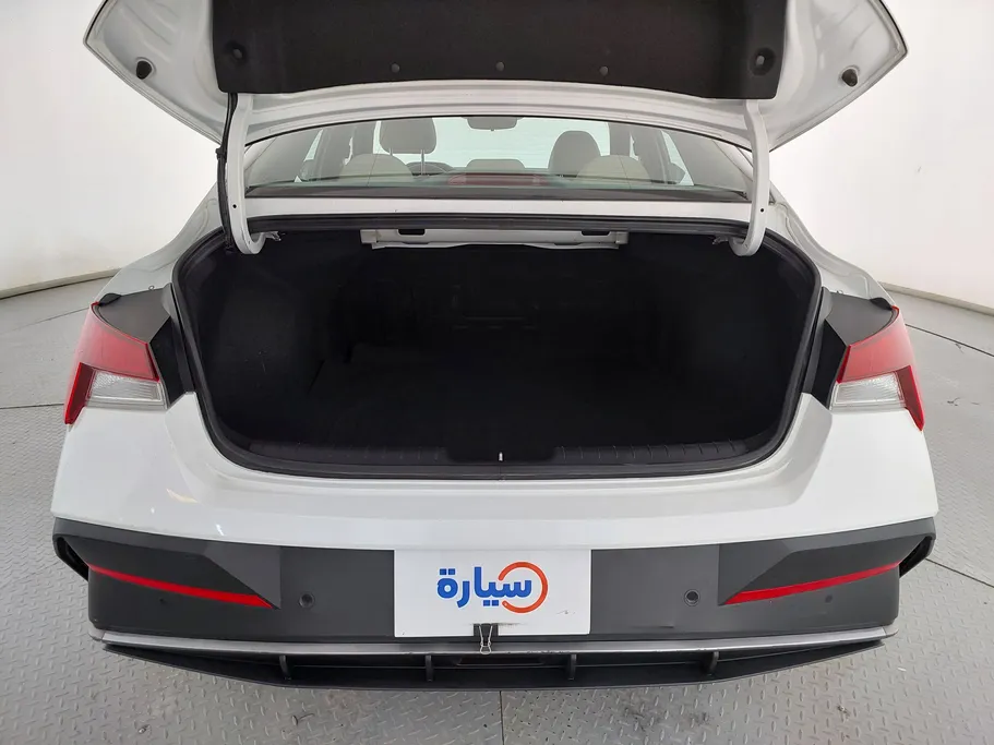 2025 Hyundai Elantra Fleet 