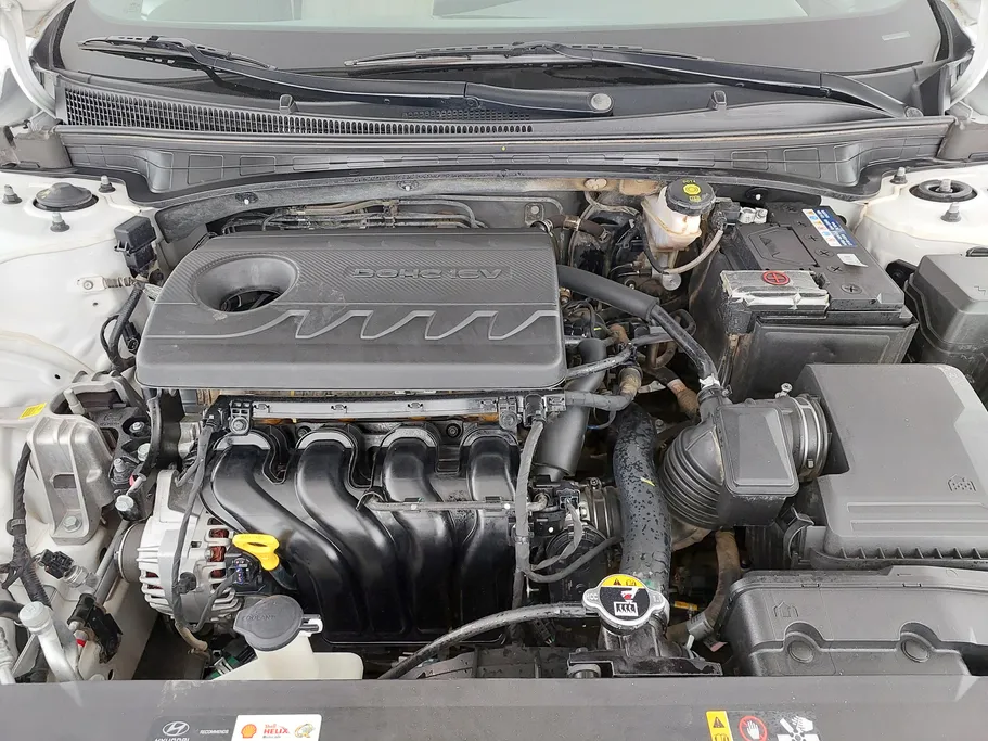 2025 Hyundai Elantra Fleet 