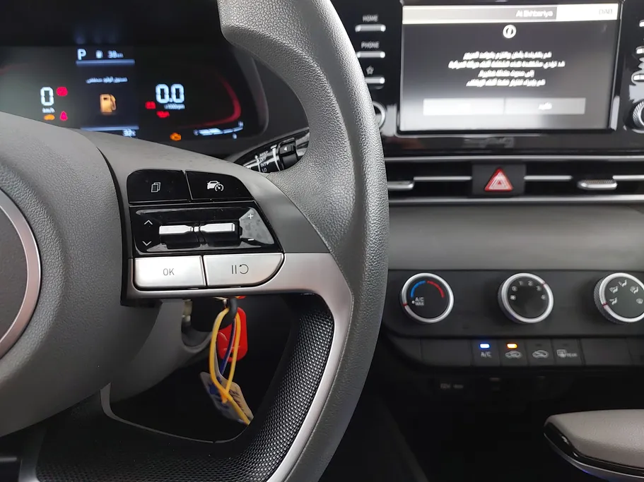 2025 Hyundai Elantra Fleet 