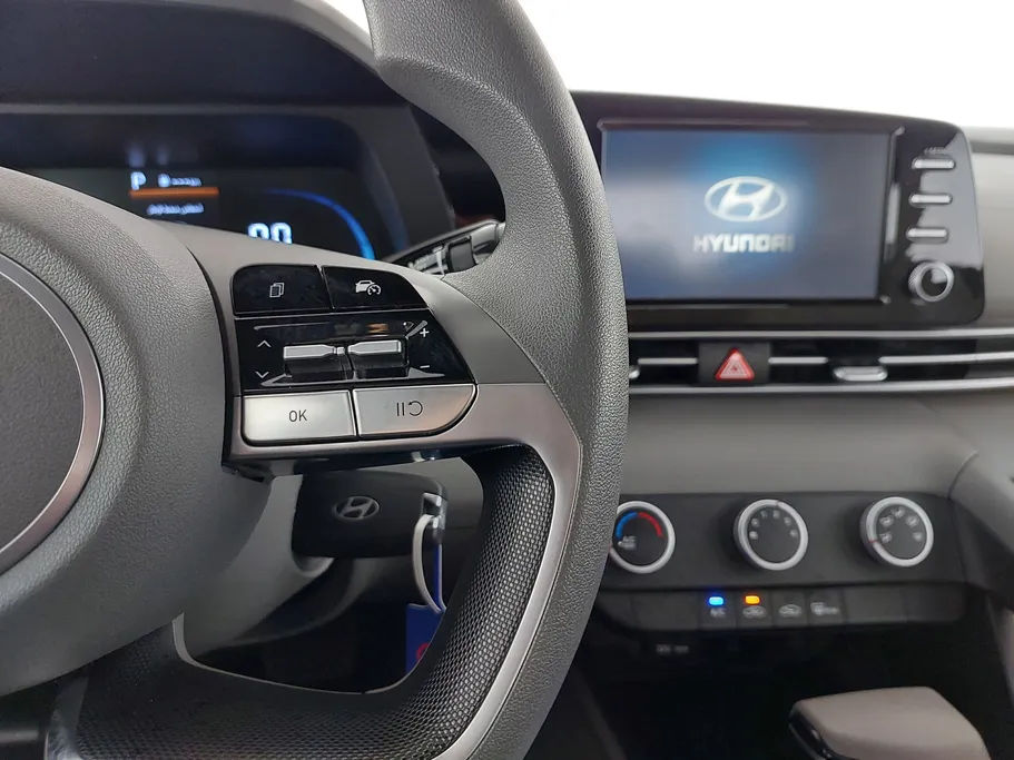 2025 Hyundai Elantra Fleet 