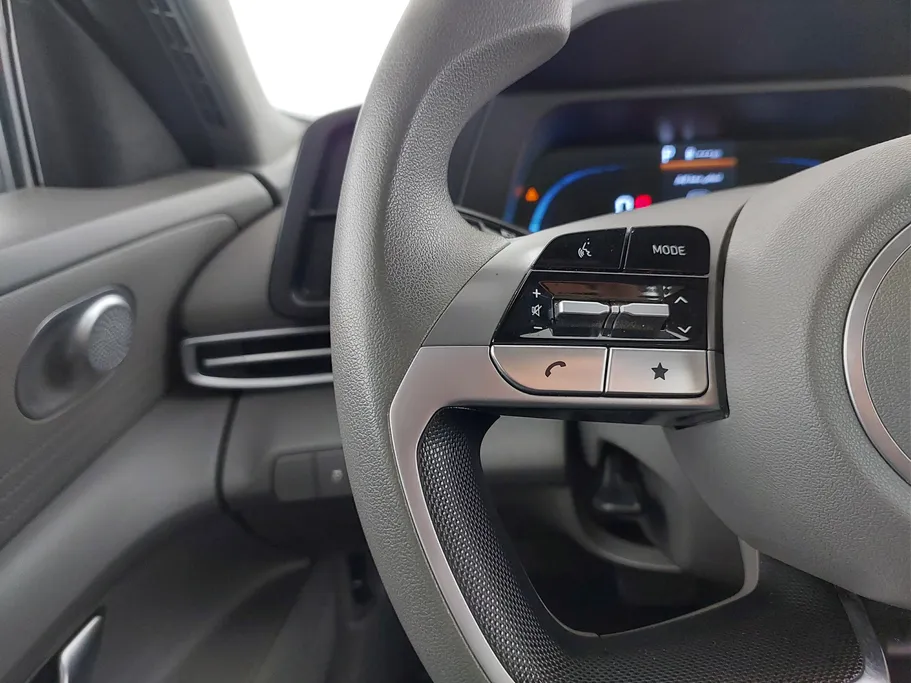 2025 Hyundai Elantra Fleet 