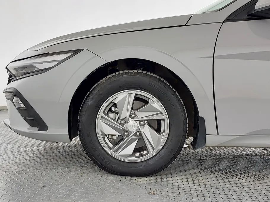 2025 Hyundai Elantra Fleet 