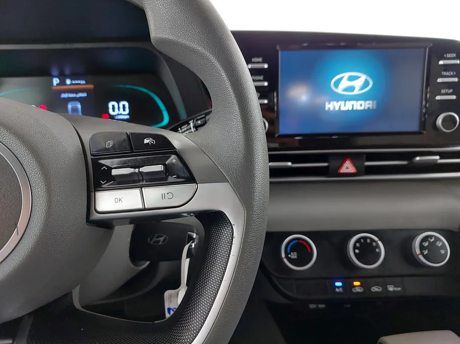 2025 Hyundai Elantra Fleet 