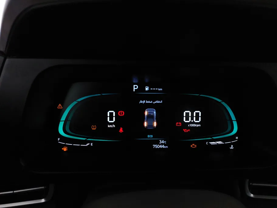 2025 Hyundai Elantra Fleet 