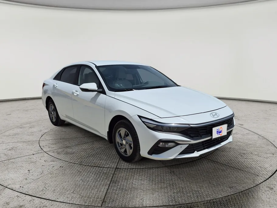 2025 Hyundai Elantra Fleet 