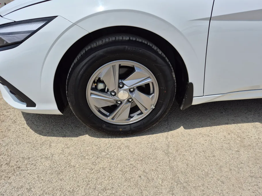 2025 Hyundai Elantra Fleet 