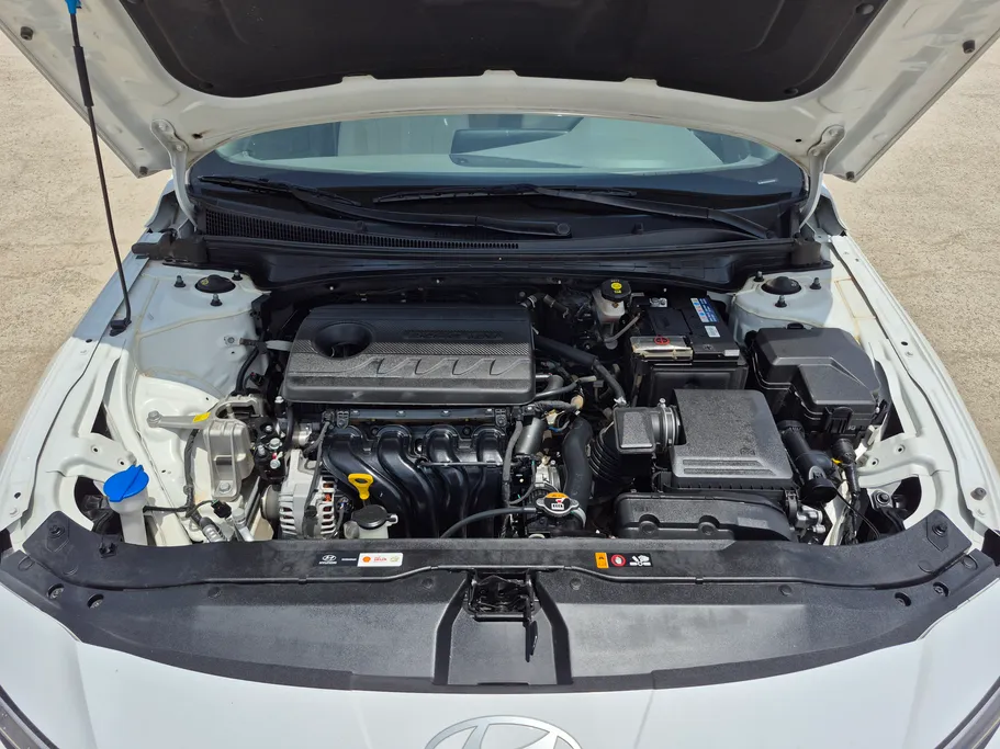 2025 Hyundai Elantra Fleet 