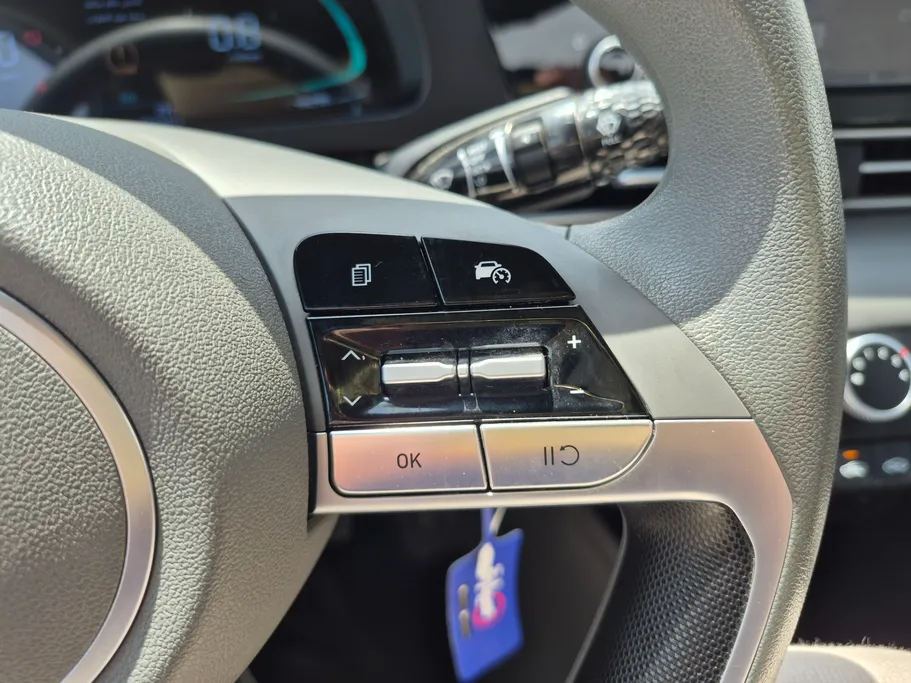 2025 Hyundai Elantra Fleet 