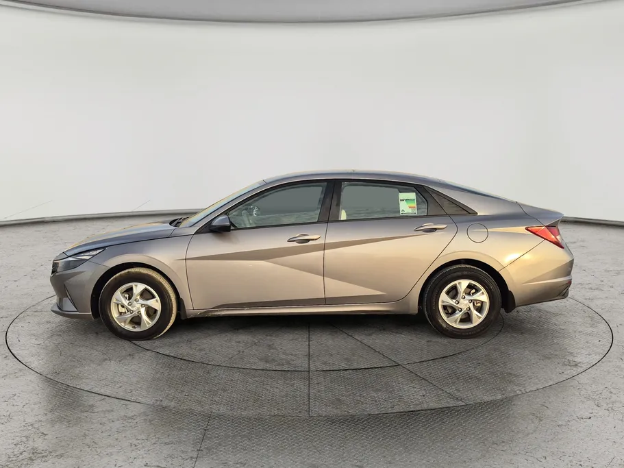2023 Hyundai Elantra Fleet 