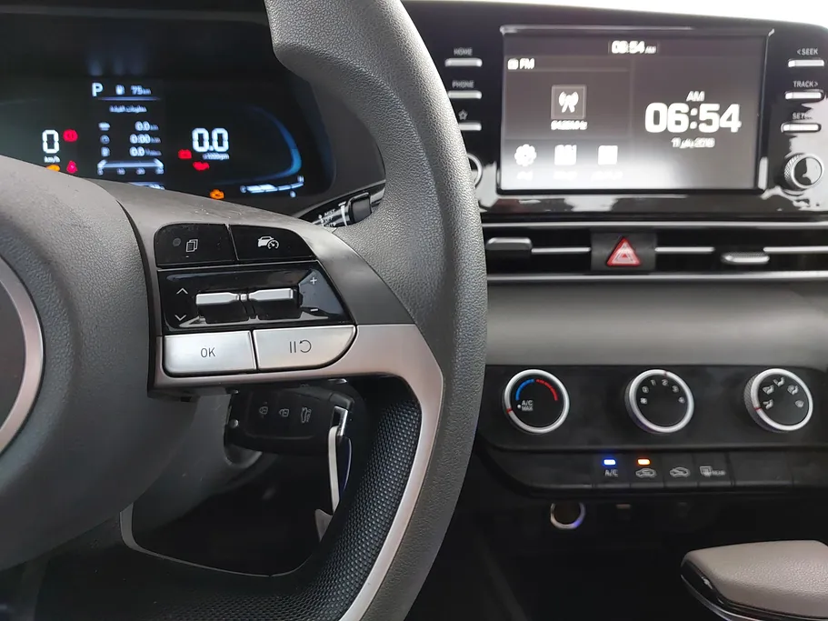 2025 Hyundai Elantra Fleet 