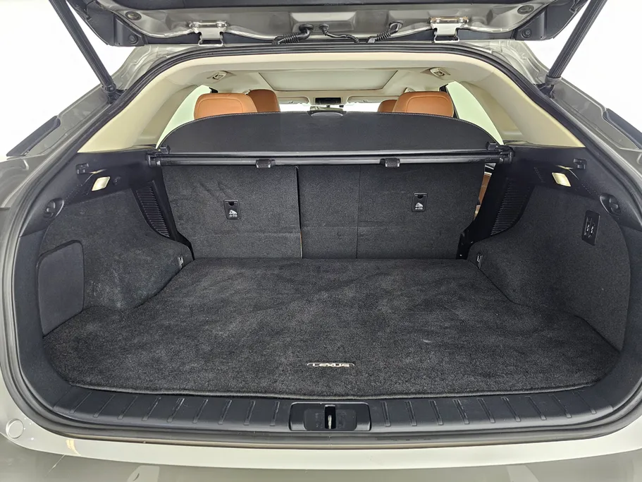 2020 Lexus RX 450 H 