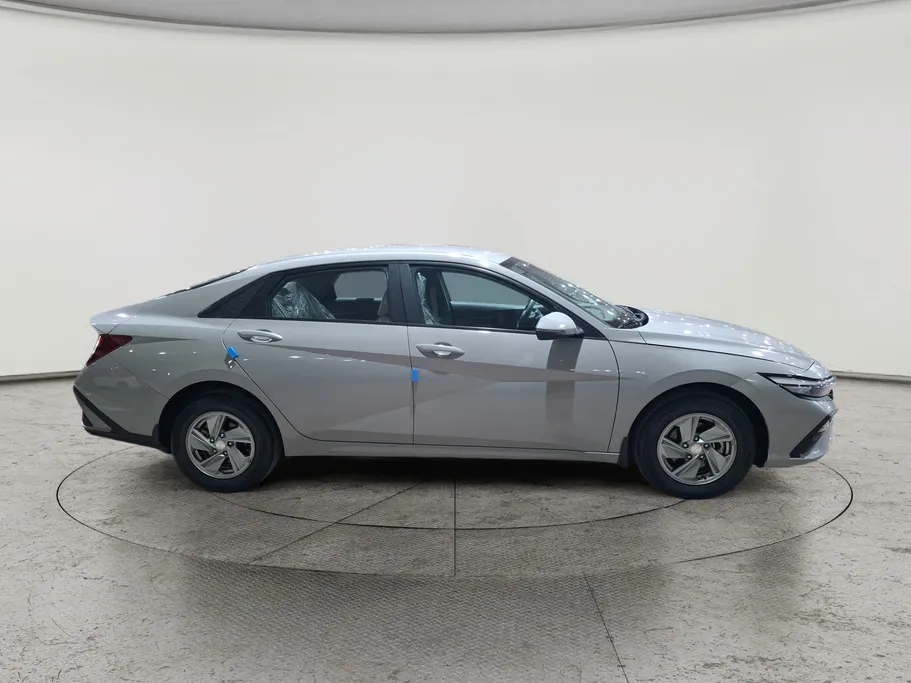 2024 Hyundai Elantra Fleet 