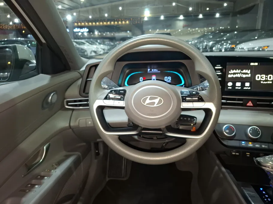 2024 Hyundai Elantra Fleet 