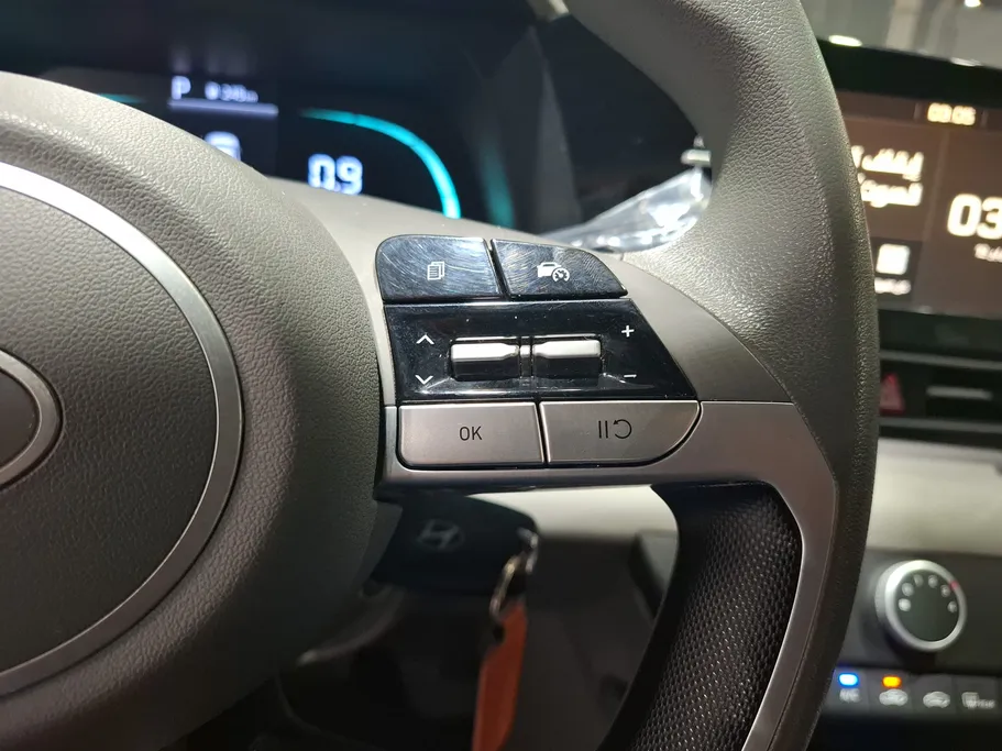2024 Hyundai Elantra Fleet 
