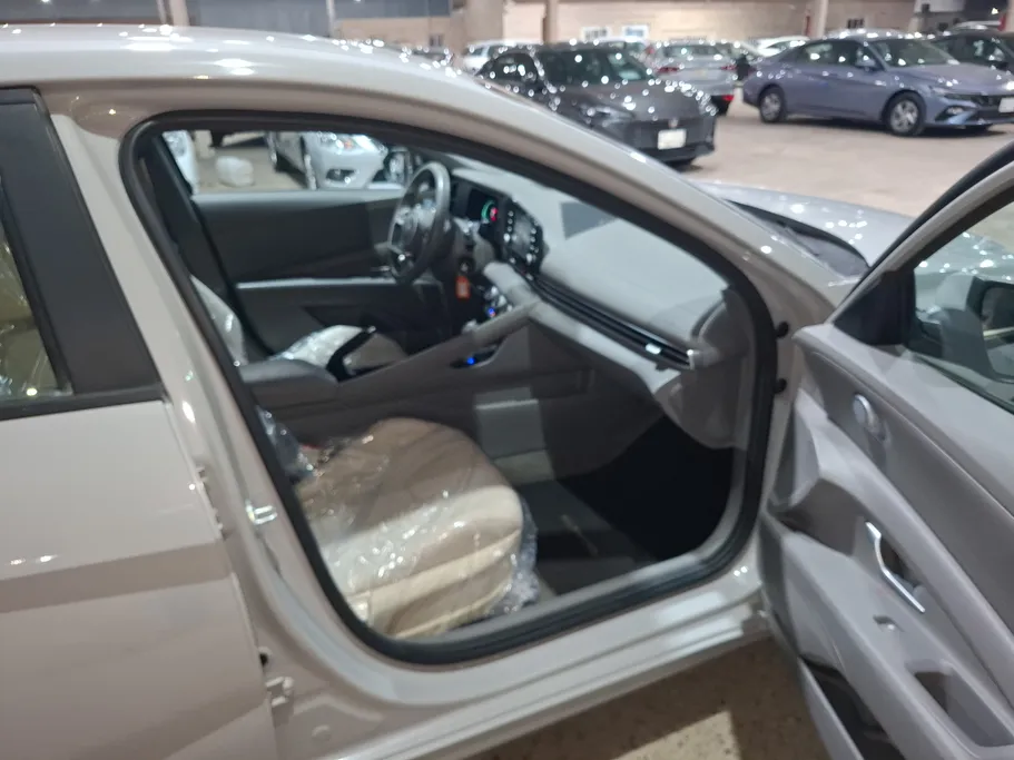 2024 Hyundai Elantra Fleet 