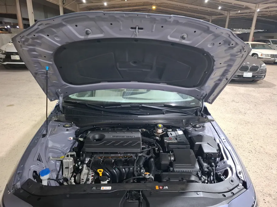 2025 Hyundai Elantra Fleet 