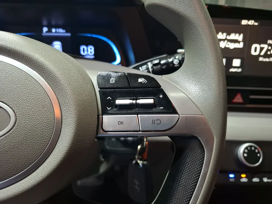 2025 Hyundai Elantra Fleet 