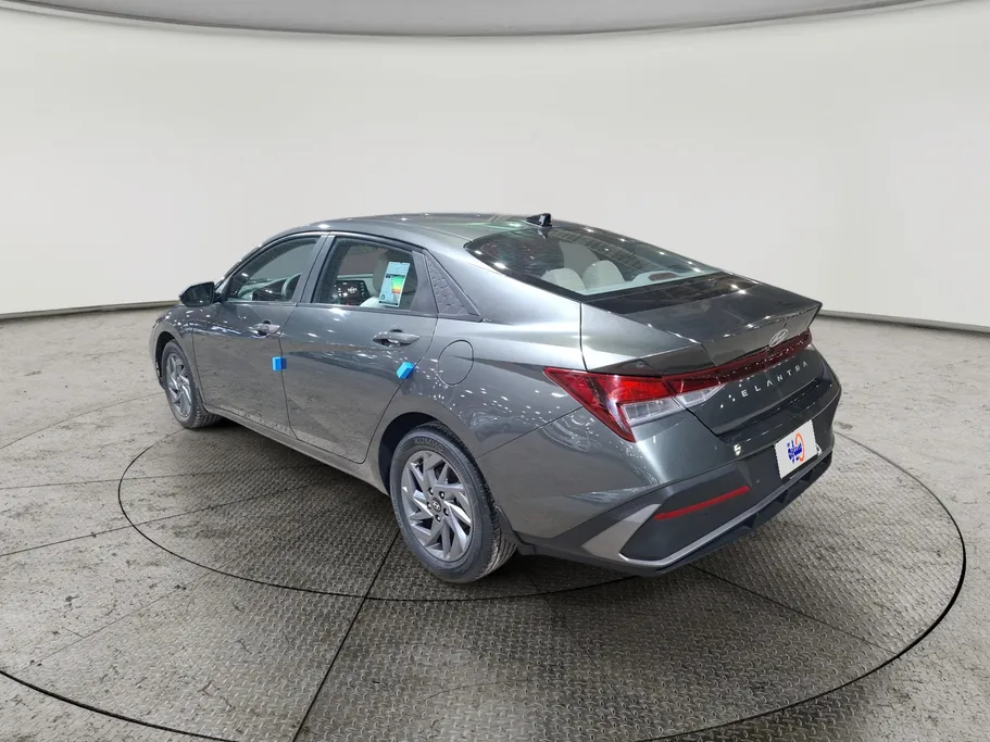 2024 Hyundai Elantra Fleet 