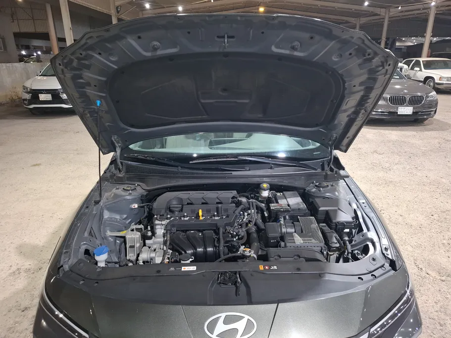 2024 Hyundai Elantra Fleet 